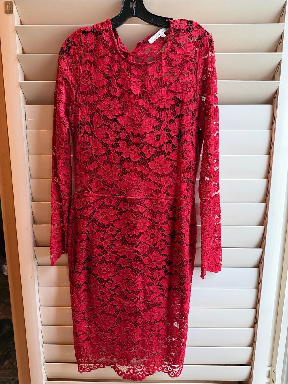 Lovers + Friends Scarlet Floral Lace Long-Sleeve Dress
